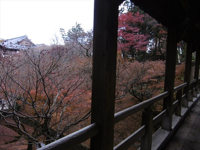 P1270389.JPG