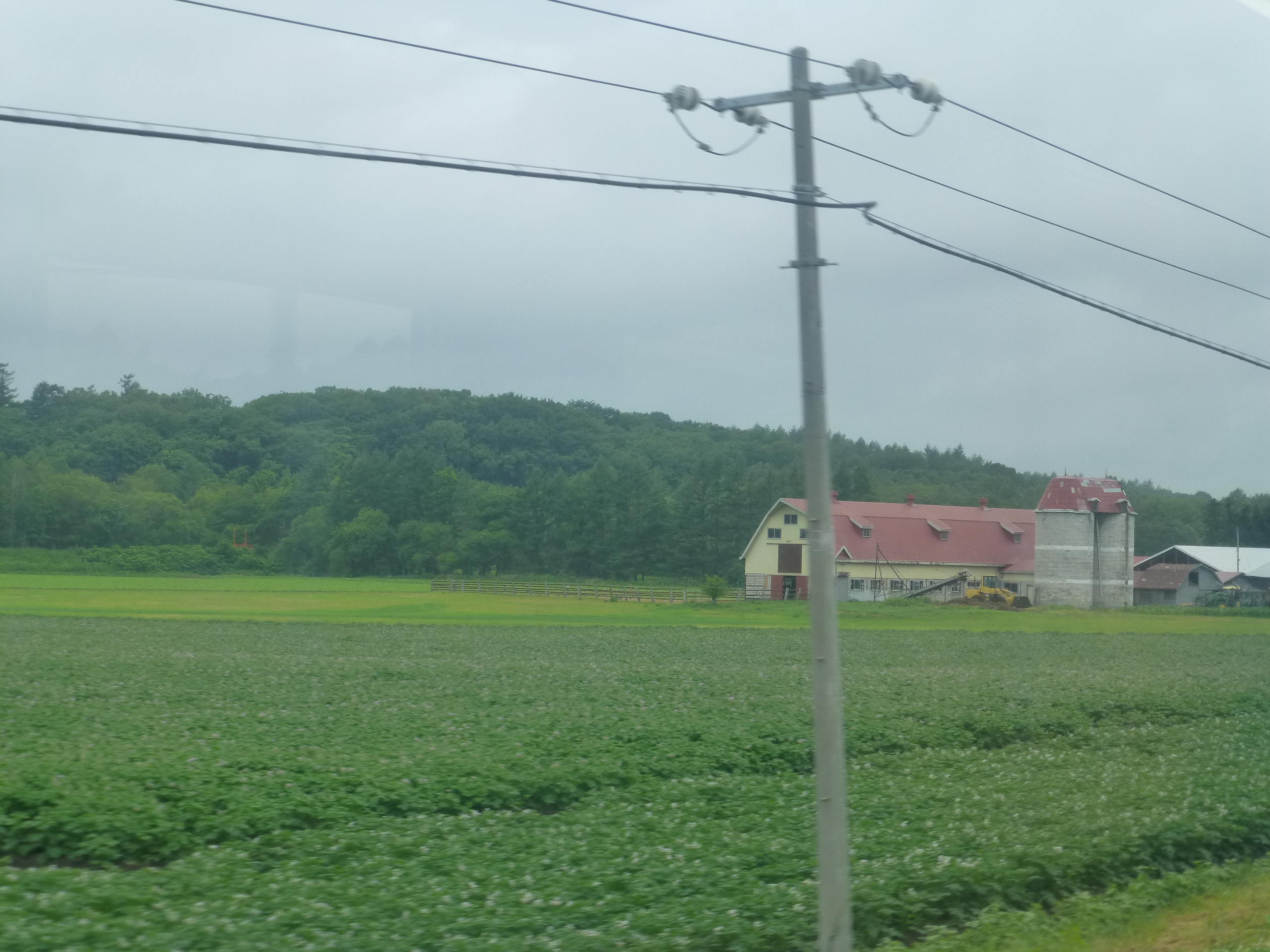 P1150135.JPG