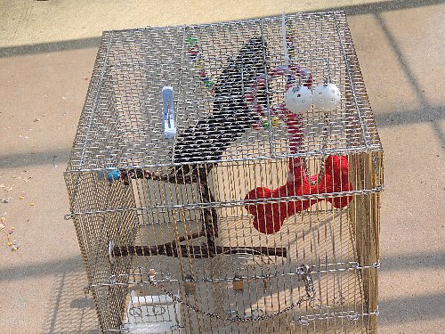 DSCN3481.JPG