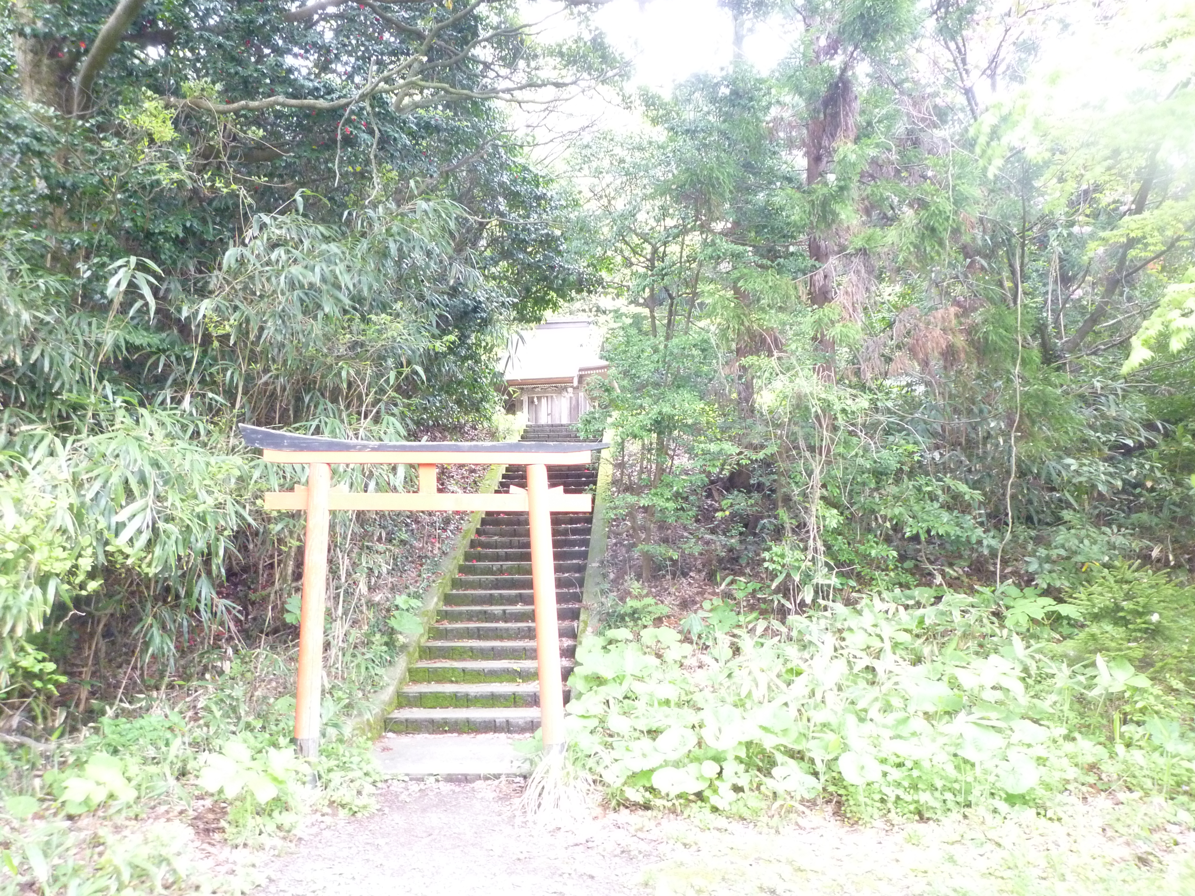 P1210914.JPG