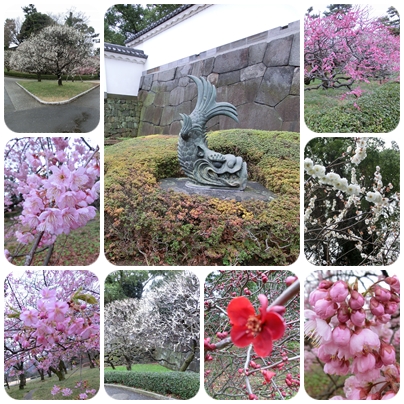 坂下門.jpg