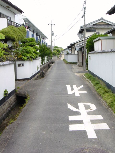 DSC08029.JPG