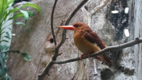 20150318 14334101.JPG