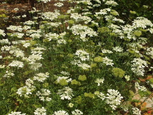 2015-06-10 12.44.56.jpg