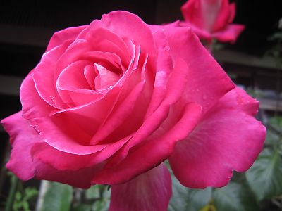 IMG_ed27.JPG