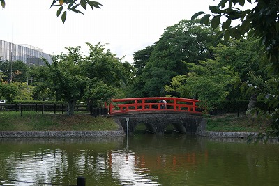 DSC08839.jpg