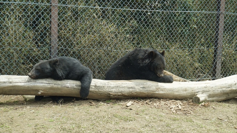 20150420 11205301.JPG