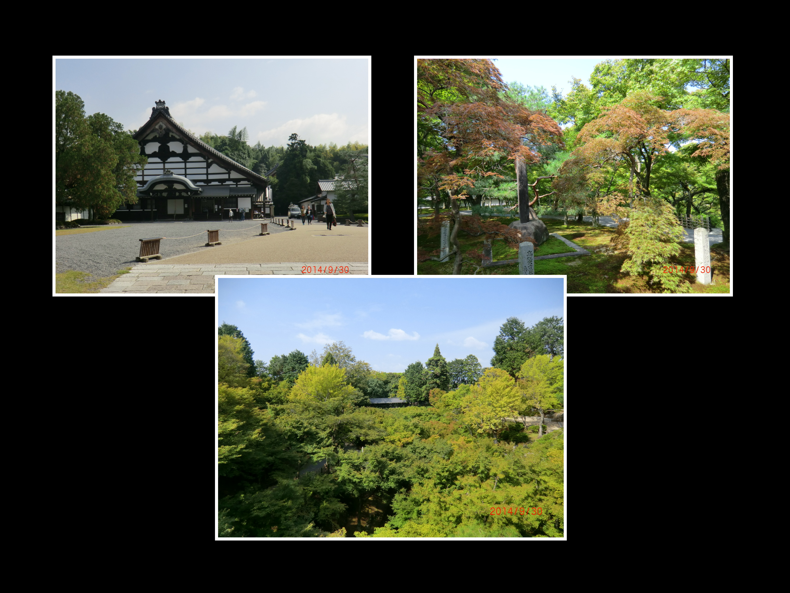 10-7-東福寺 002.JPG