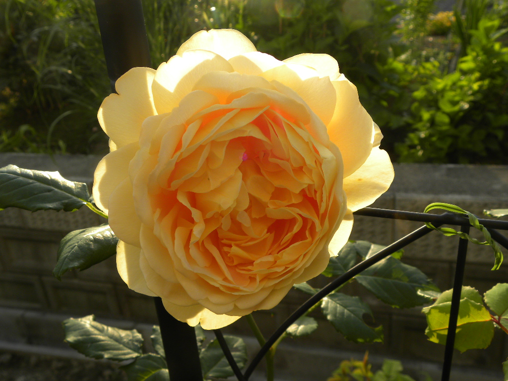 DSCN6983.JPG