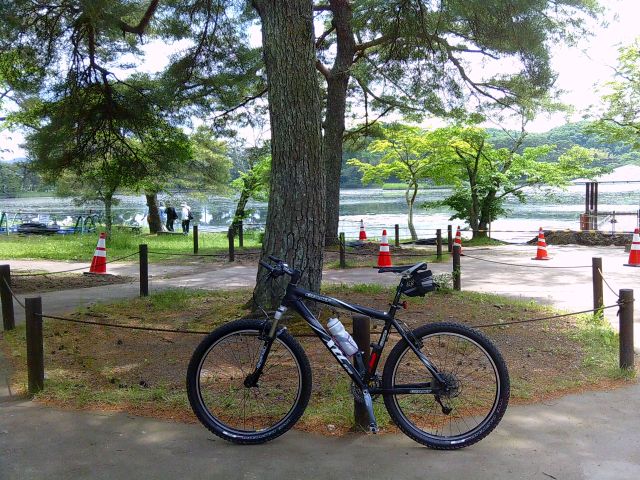 250529shikarawasoba07.jpg