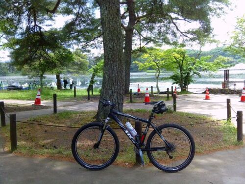 250529shikarawasoba07.jpg