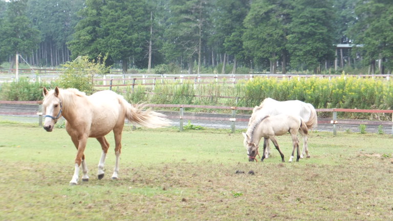 DSCF2968.JPG