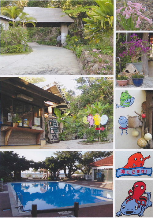 2014奄美大島15.JPG