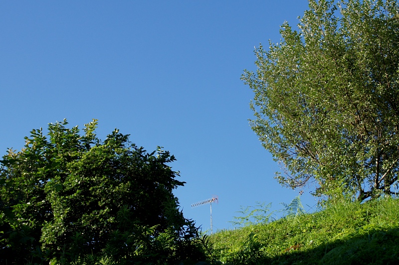 0809-6.jpg