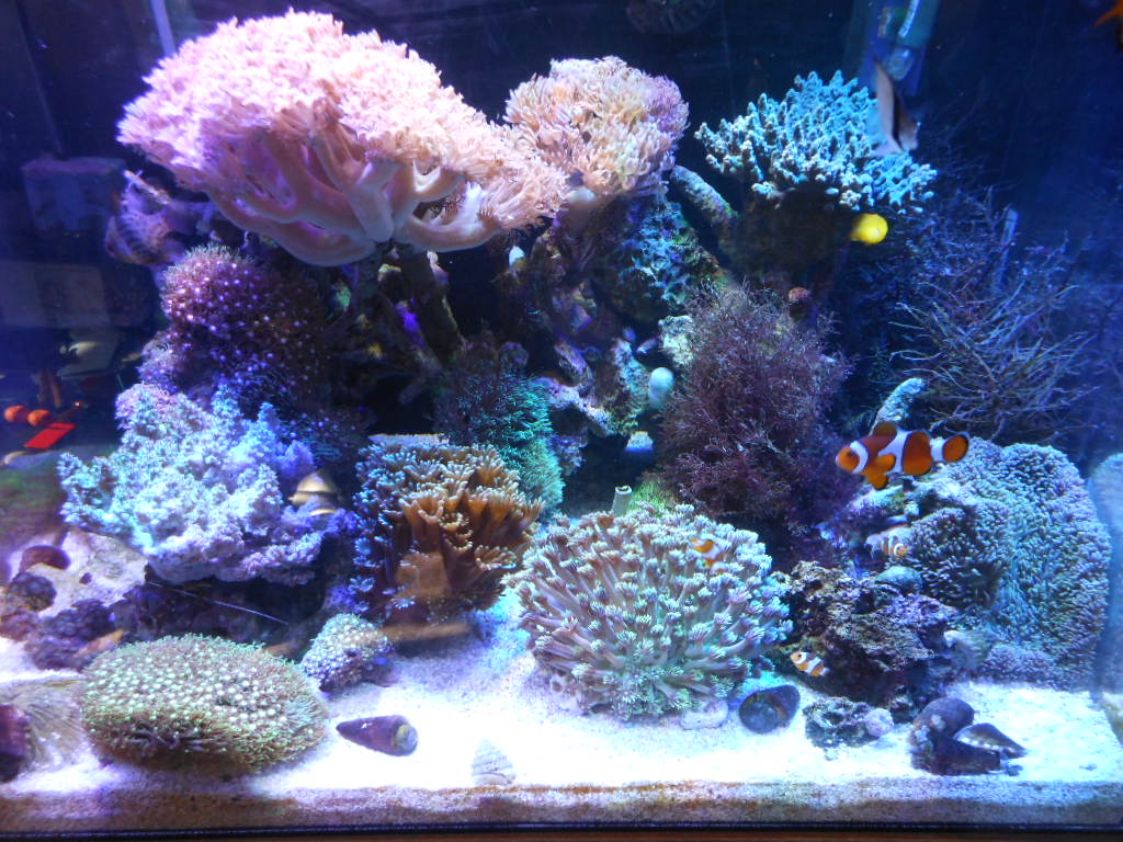 DSCN4153.JPG