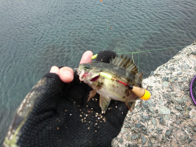 showPhoto (640×480)