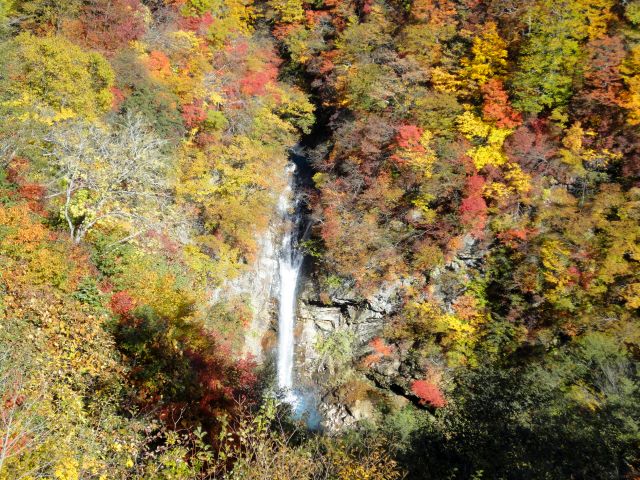 151015komadomenotaki2.jpg
