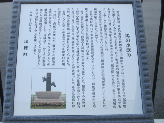 馬の水のみ説明