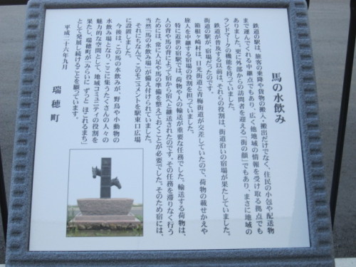 馬の水のみ説明