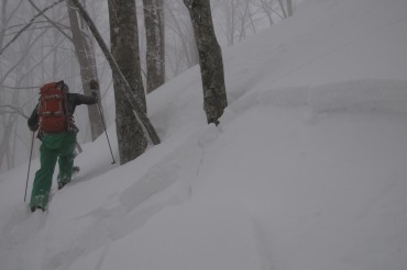 150131-05.jpg