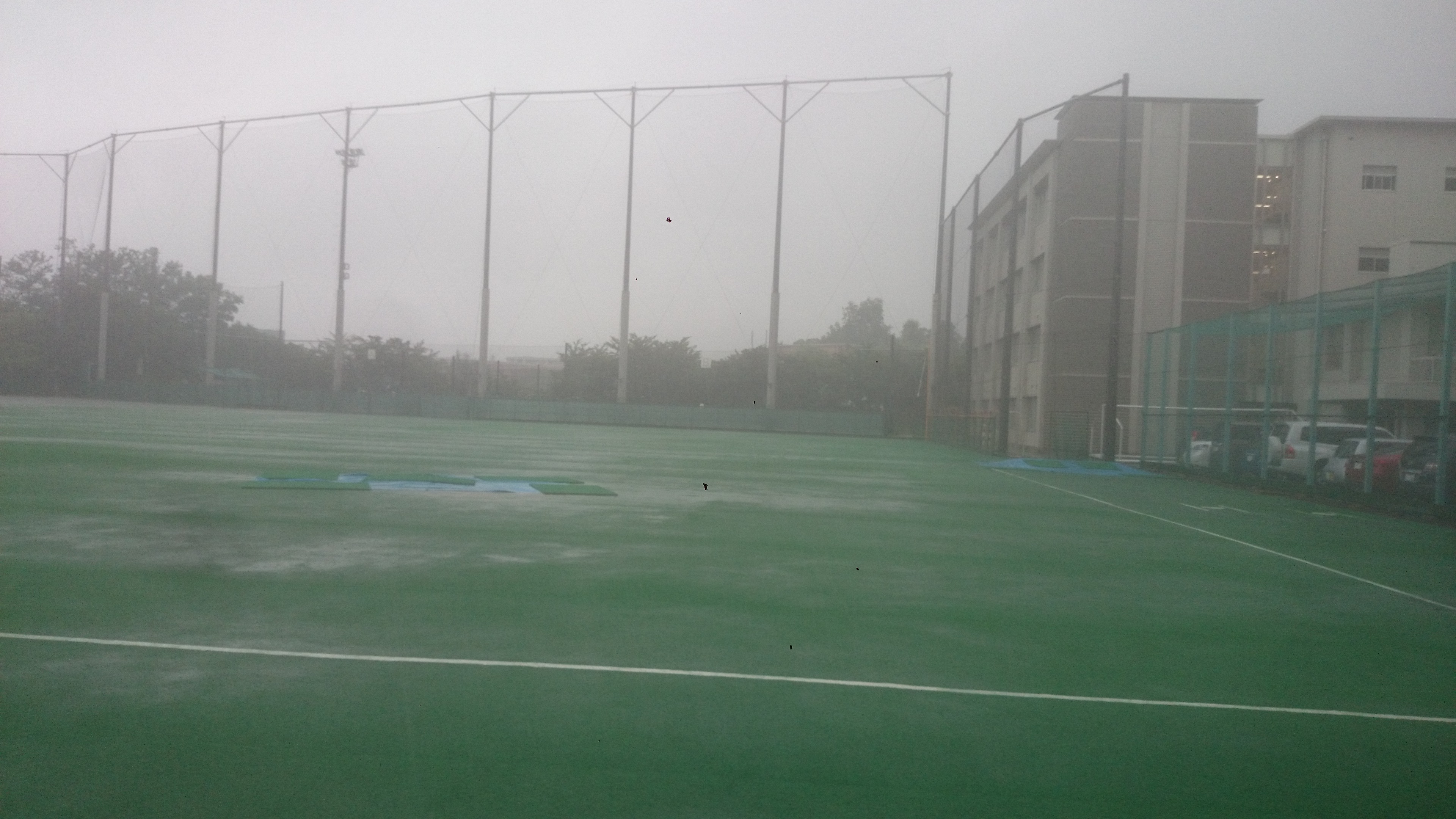 2015-07-01 11.29.55.jpg