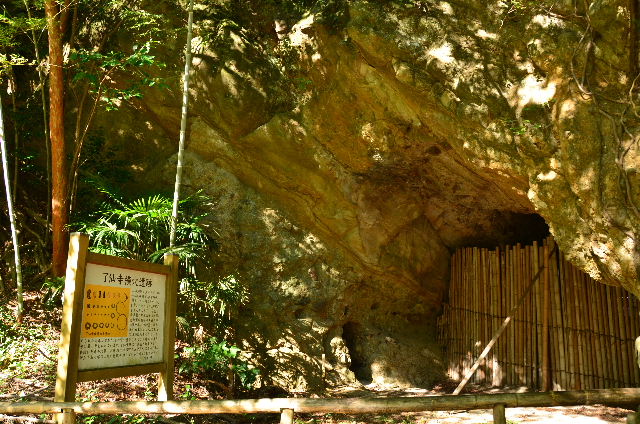 DSC_4529.JPG