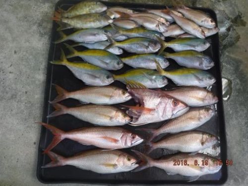 釣果_512.jpg