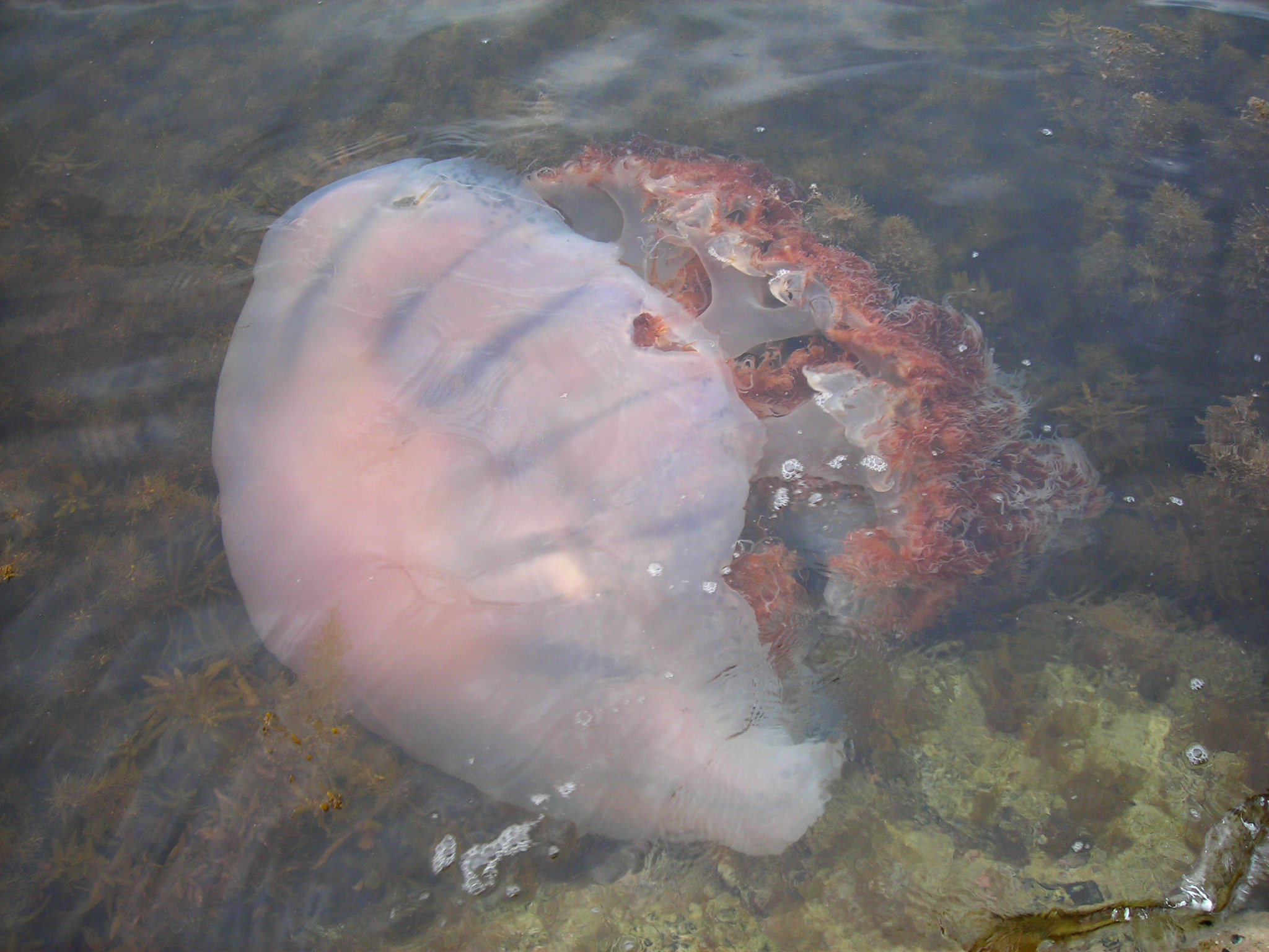 DSCN8126.JPG