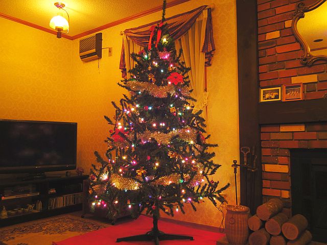 141201tree.jpg