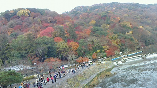 arasiyama1.jpg