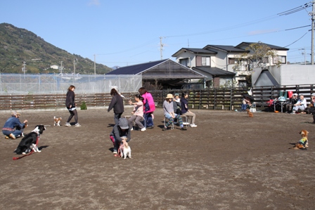IMG_3805.JPG