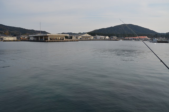 showPhoto (640×426)