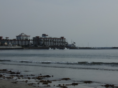 DSCF6153 (800x600).jpg