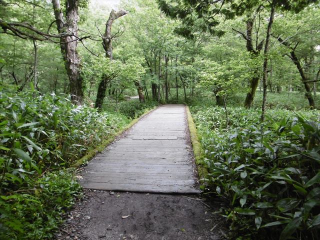 P1250345_R.JPG