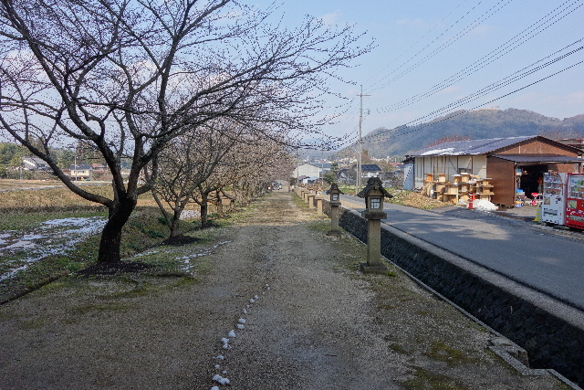 DSC03648.JPG