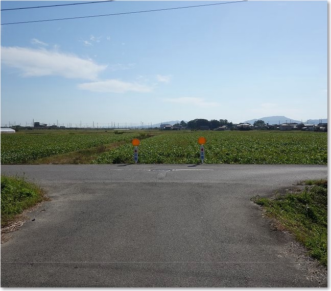 11たぶん直進したヤツがいる