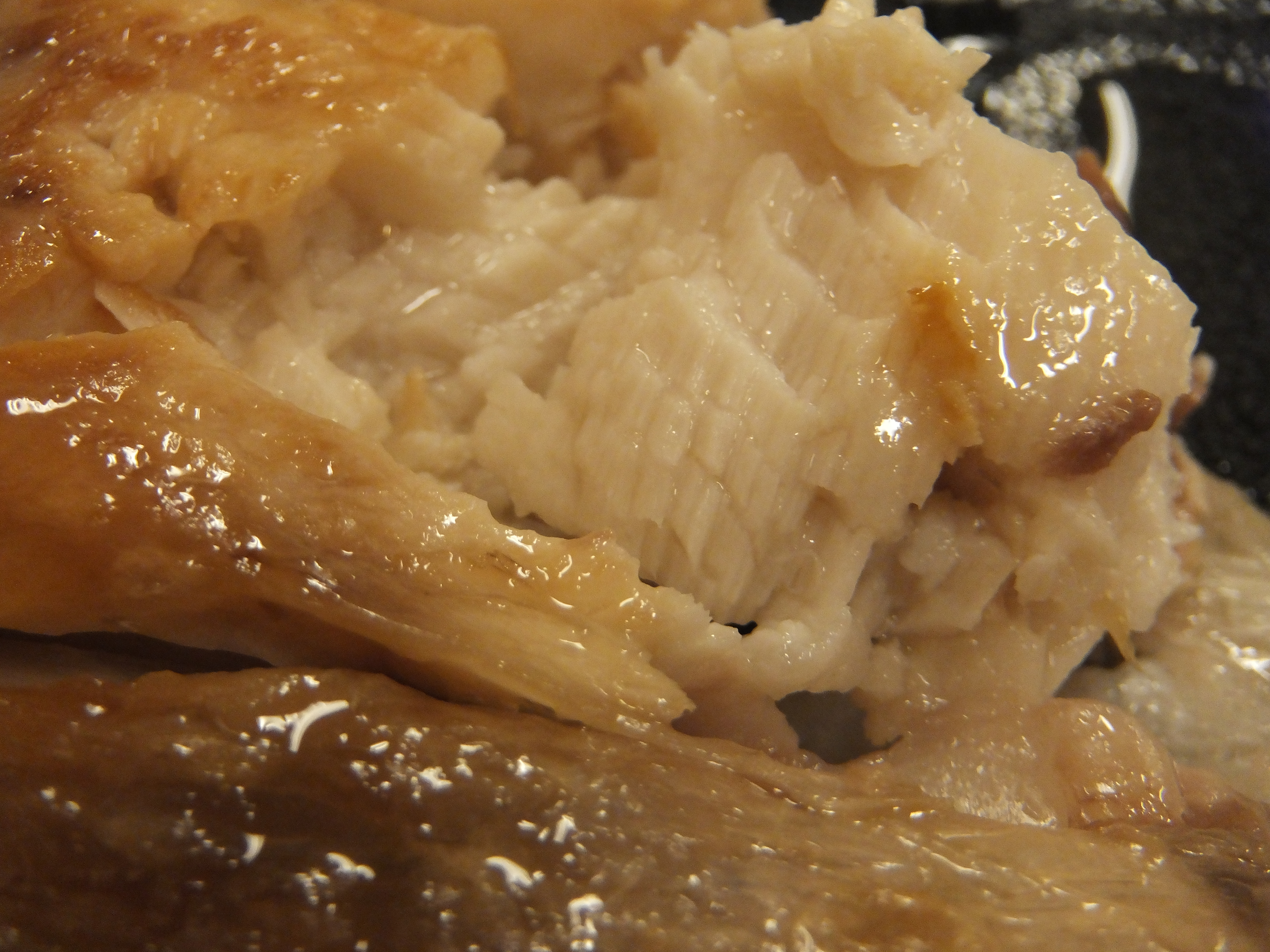DSCF2652.JPG