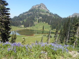 s-DSCN0843.jpg