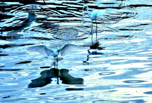 B97A6765 (1024x695).jpg