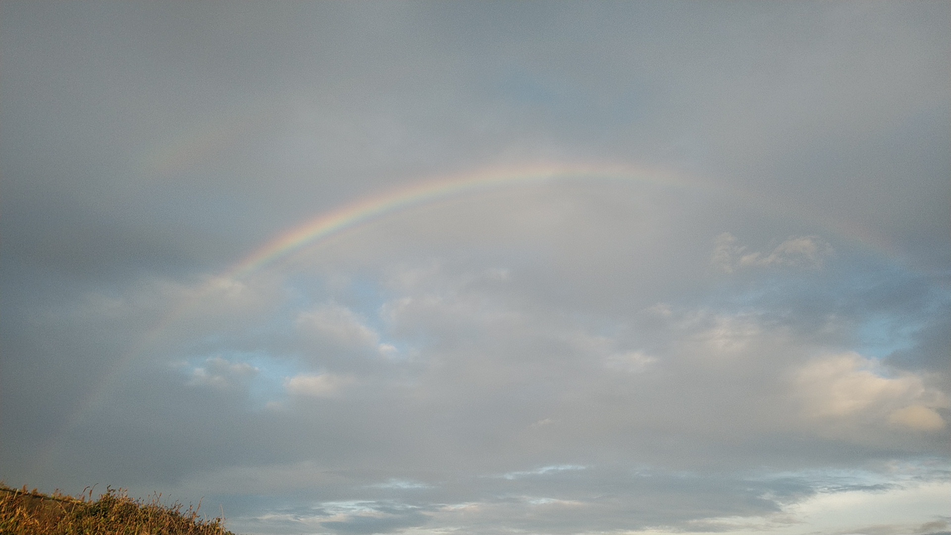 20190916  DSC_0001.jpg.jpg