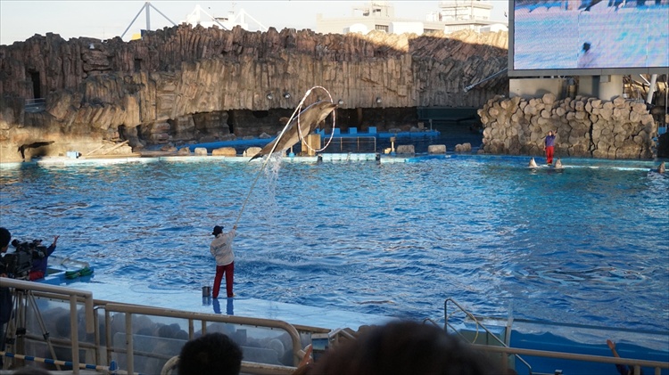 20151111 15463401.jpg