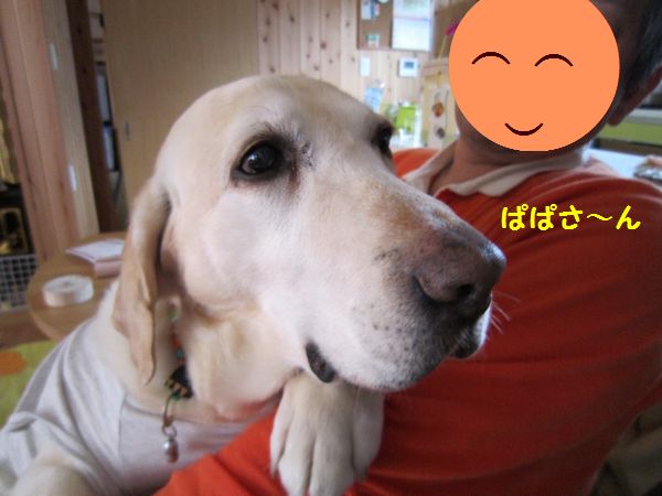 １周年１.jpg