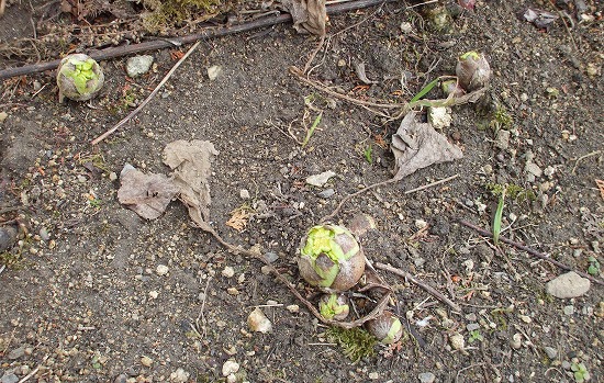 DSCF2657.jpg