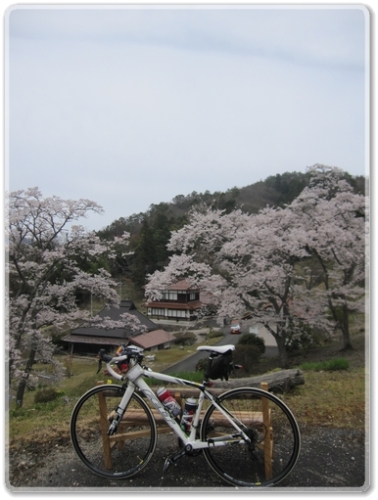 6236R301沿線風景（峠の花見ベンチ）_6236.jpg