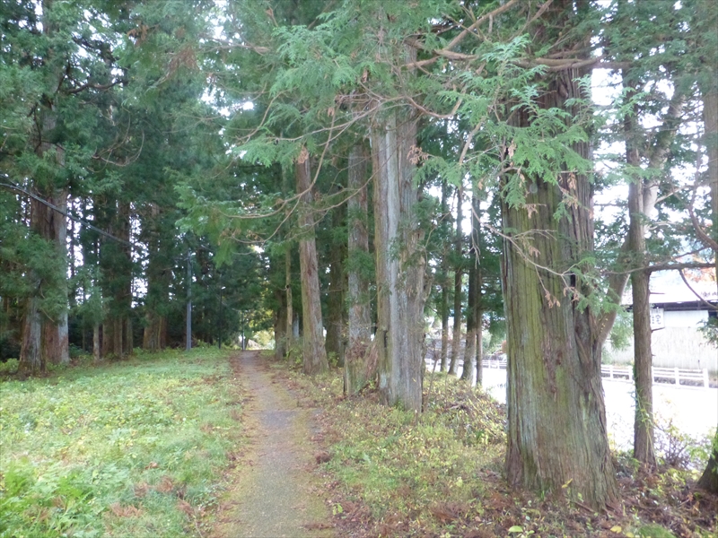 RP1130137.JPG