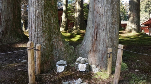 20160322 14362201.JPG