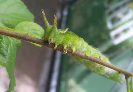 20120716-0.jpg