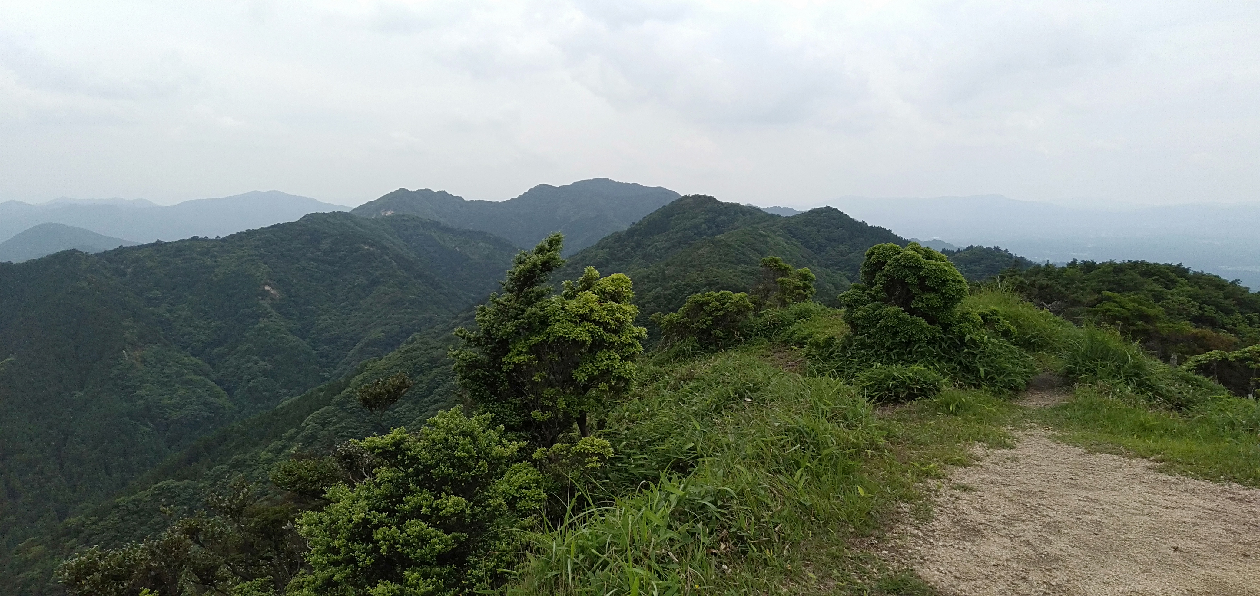 IMG20200615123138.jpg