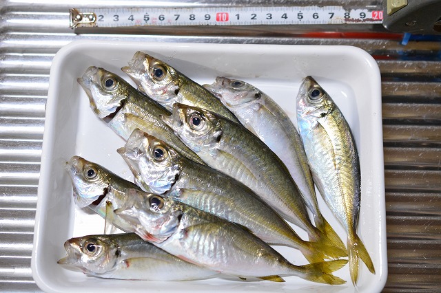 showPhoto (640×426)