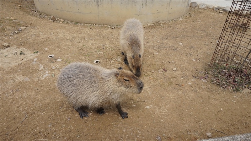 20150420 11422601.JPG